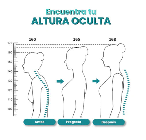 Corrector de Postura 5D