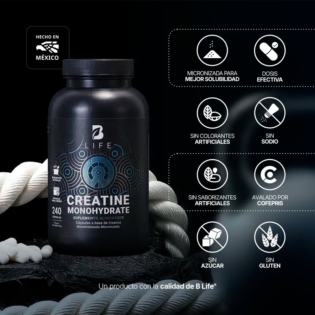 Creatina B-Life Sport